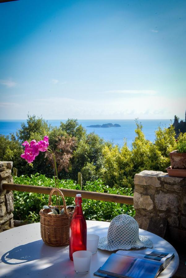 Villa Punta del Sole Positano Exterior foto